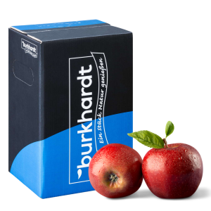 BIB (Bag in Box) 5L Sirup Roter Apfel
